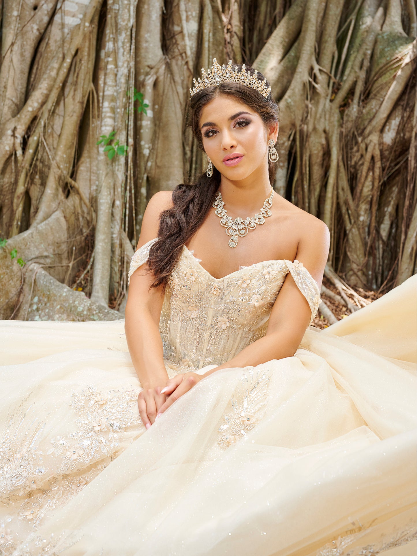 P56493 | QUINCEAÑERA DRESS