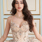 PR30182 | QUINCEAÑERA DRESS