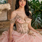 RQ1144 | QUINCEAÑERA DRESS