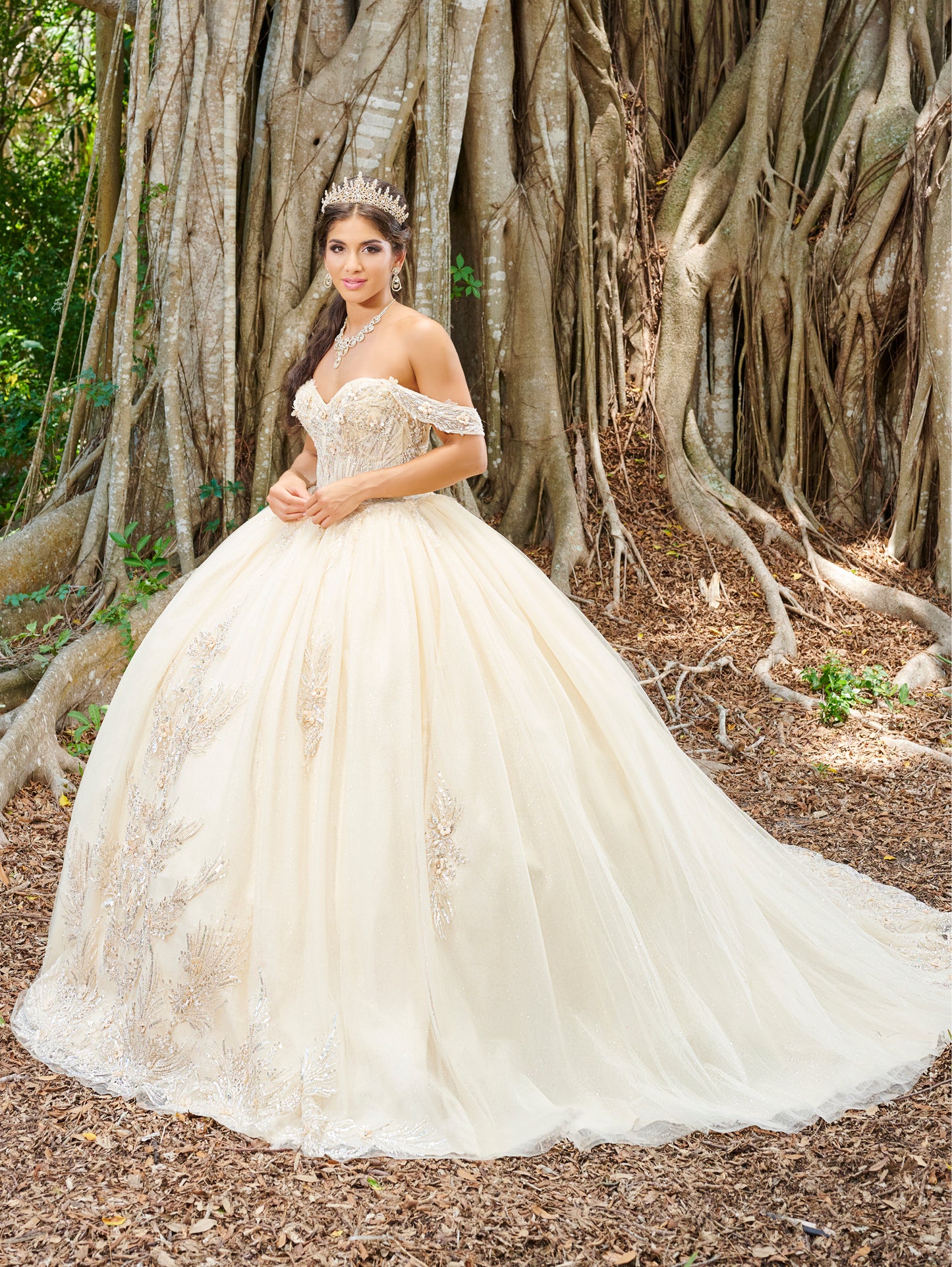 P56493 | QUINCEAÑERA DRESS