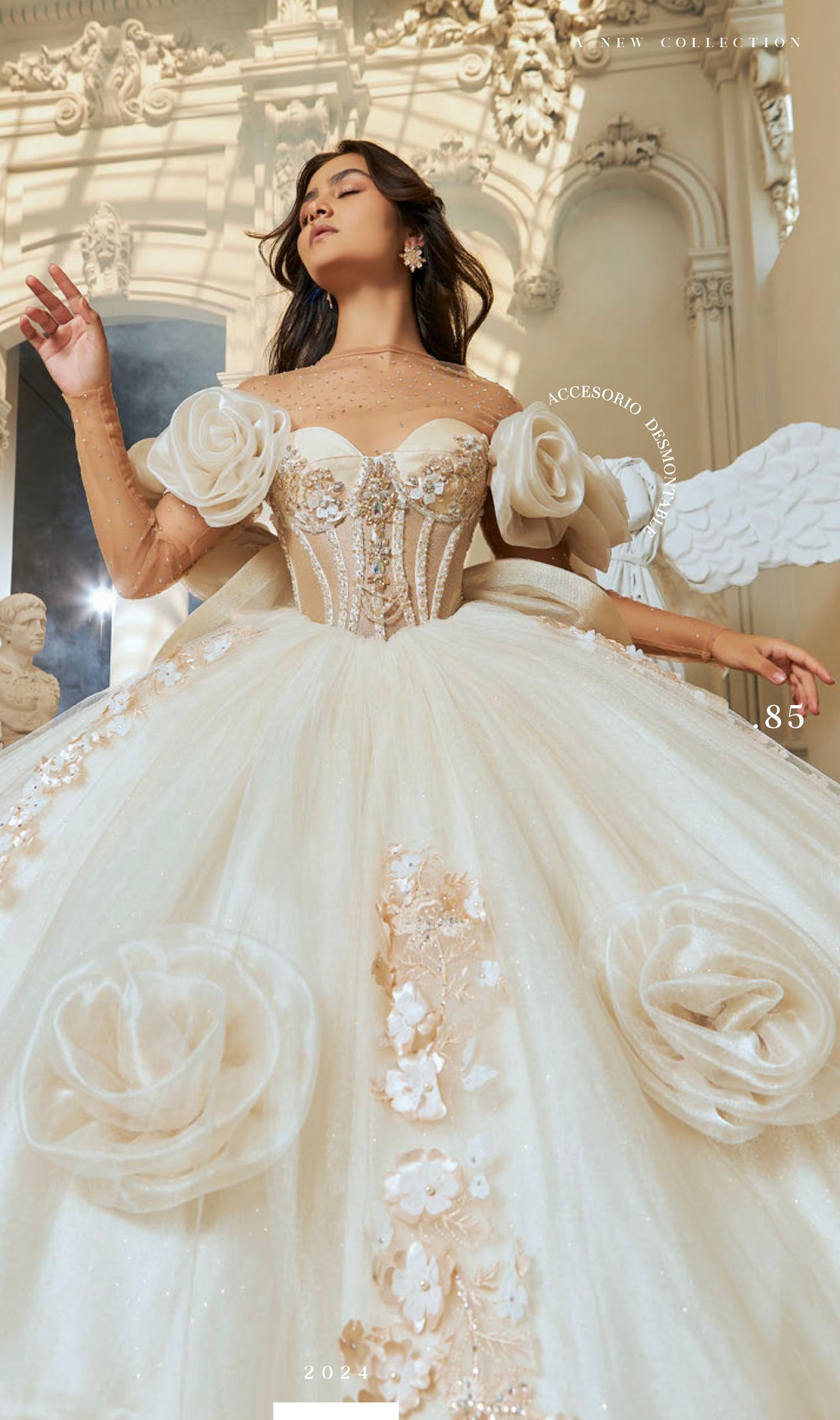 EV63-663 | QUINCEAÑERA DRESS