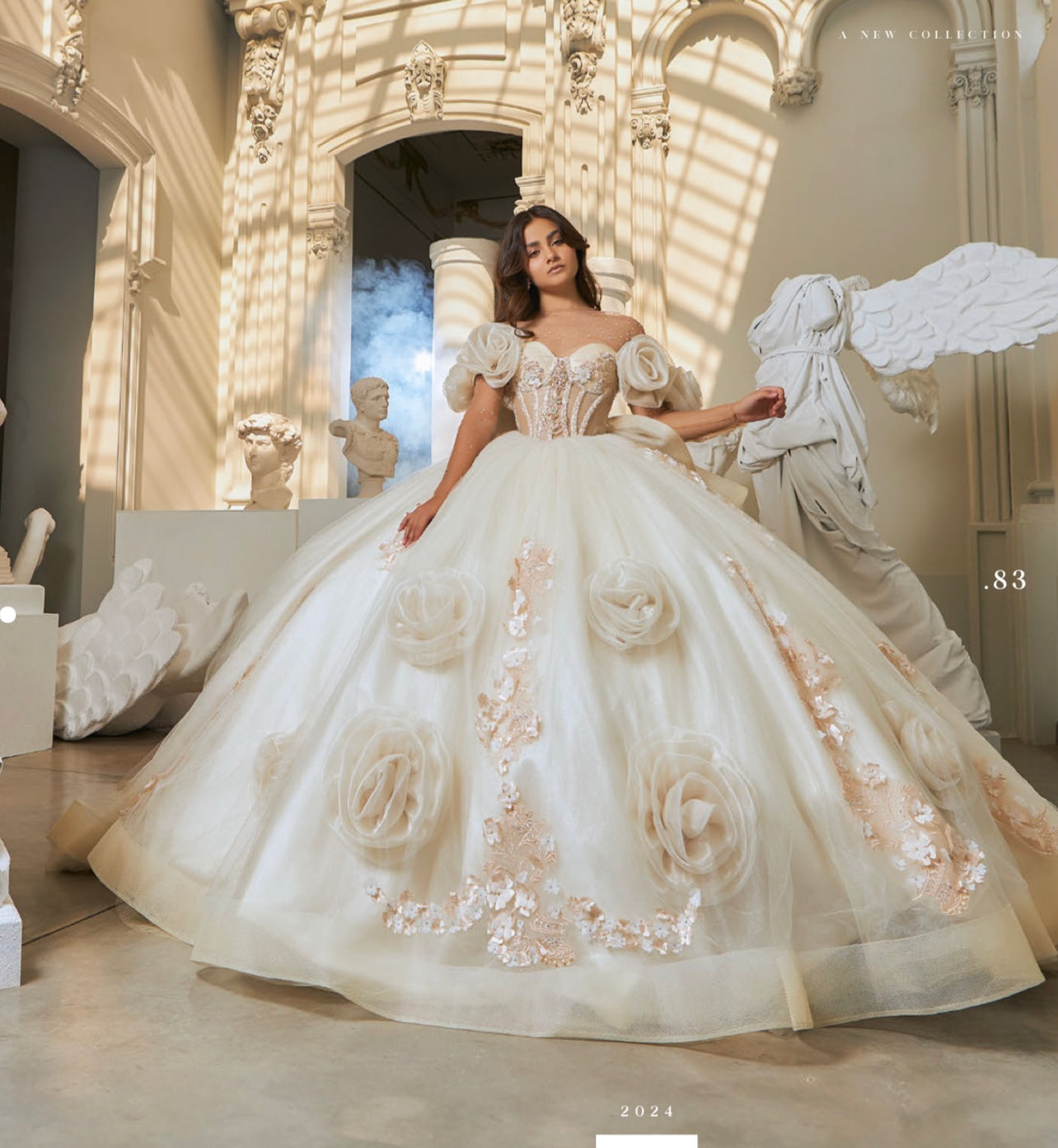 EV63-663 | QUINCEAÑERA DRESS