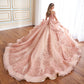 12169 | Quinceanera Dress