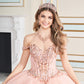 12169 | Quinceanera Dress