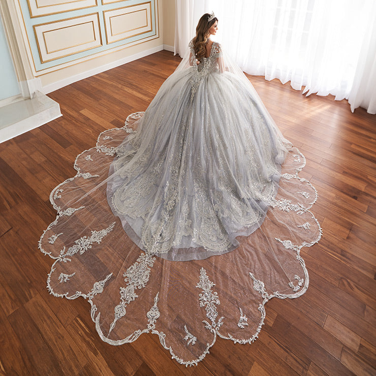 12178 | Quinceanera Dress