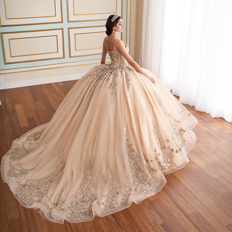 12195 | Quinceanera Dress