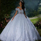 11890 | Three-Dimensional Floral Embroidered Quinceanera Dress