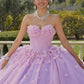 11742 | Crystal Beading and Three-Dimensional Floral Appliqués Quinceanera Dress