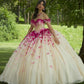 11880 | Three-Dimensional Ombre Flower Quinceanera Dress
