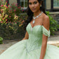 11884 | Rhinestone and Crystal Beaded Quinceanera Dress