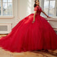 12127 | Floral Lace Quinceanera Dress