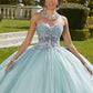 11719 | Crystal Beaded, Three-Dimensional Floral Quinceanera Dress