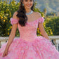 11723 | Three-Dimensional Floral Quinceanera Dress