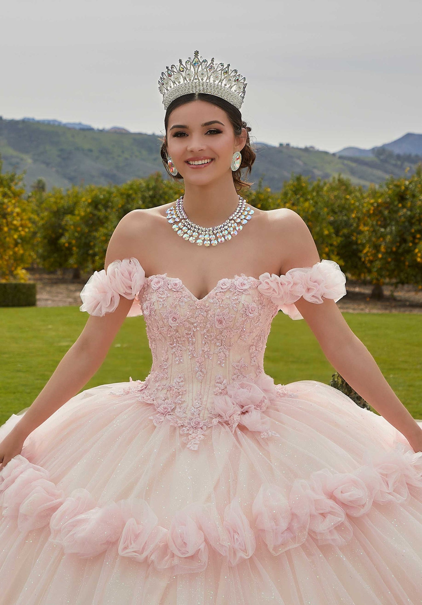11731 | Crystal Beaded, Floral Embroidery on Chantilly Lace Bodice Quinceanera Dress