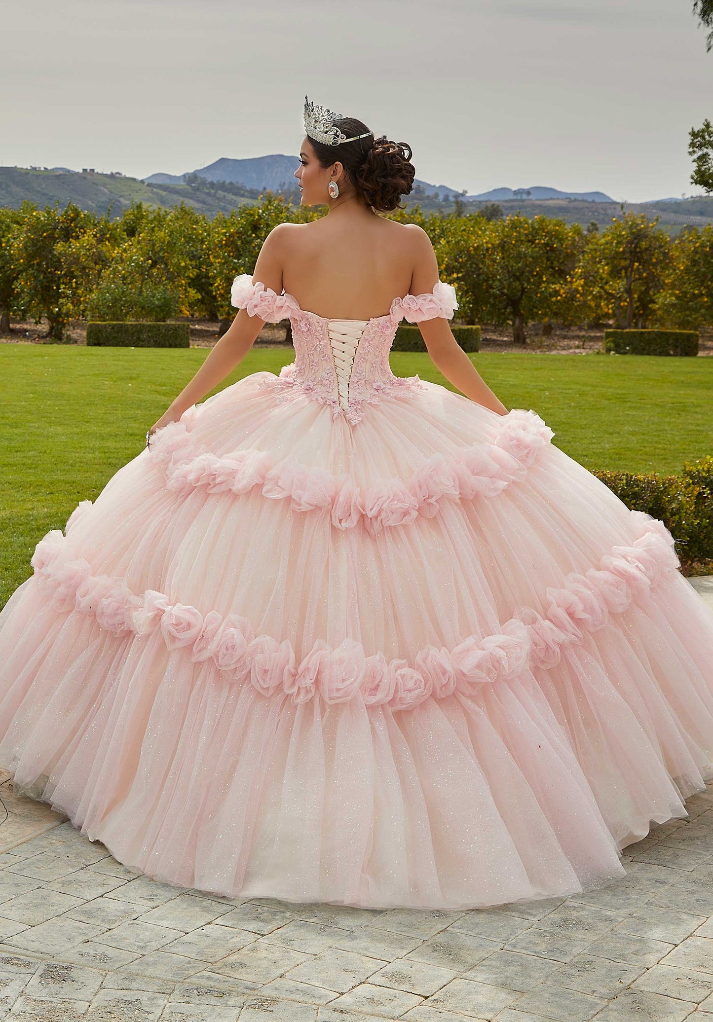 11731 | Crystal Beaded, Floral Embroidery on Chantilly Lace Bodice Quinceanera Dress