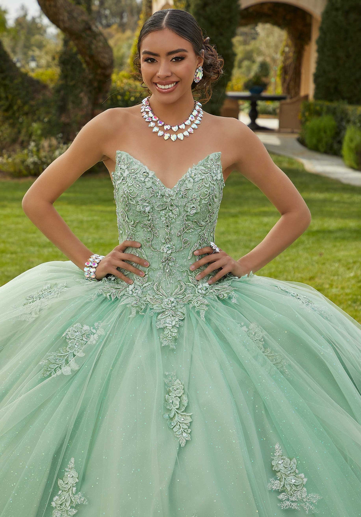 11732 | Rhinestone and Crystal Beaded Glitter Lace Quinceanera Dress