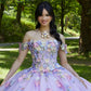 11867 | Three-Dimensional Floral Embroidery Quinceanera Dress