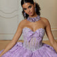 12112 | Crystal Beaded Quinceanera Dress