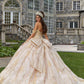 11278 | Patterned Glitter Quinceañera Dress with Chandelier Beading