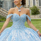 11278 | Patterned Glitter Quinceañera Dress with Chandelier Beading