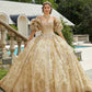 11298 | Metallic Lace and Patterned Glitter Quinceañera Dress