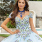 11284 | Contrasting Floral Embroidered Quinceañera Dress
