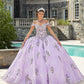 11284 | Contrasting Floral Embroidered Quinceañera Dress