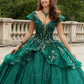 11291 | Contrasting Three-Dimensional Appliquéd Quinceañera Dress