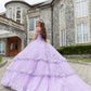 11289 | Metallic Embroidered Quinceañera Dress with Three-Dimensional Butterflies