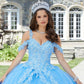 11289 | Metallic Embroidered Quinceañera Dress with Three-Dimensional Butterflies