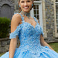 11289 | Metallic Embroidered Quinceañera Dress with Three-Dimensional Butterflies
