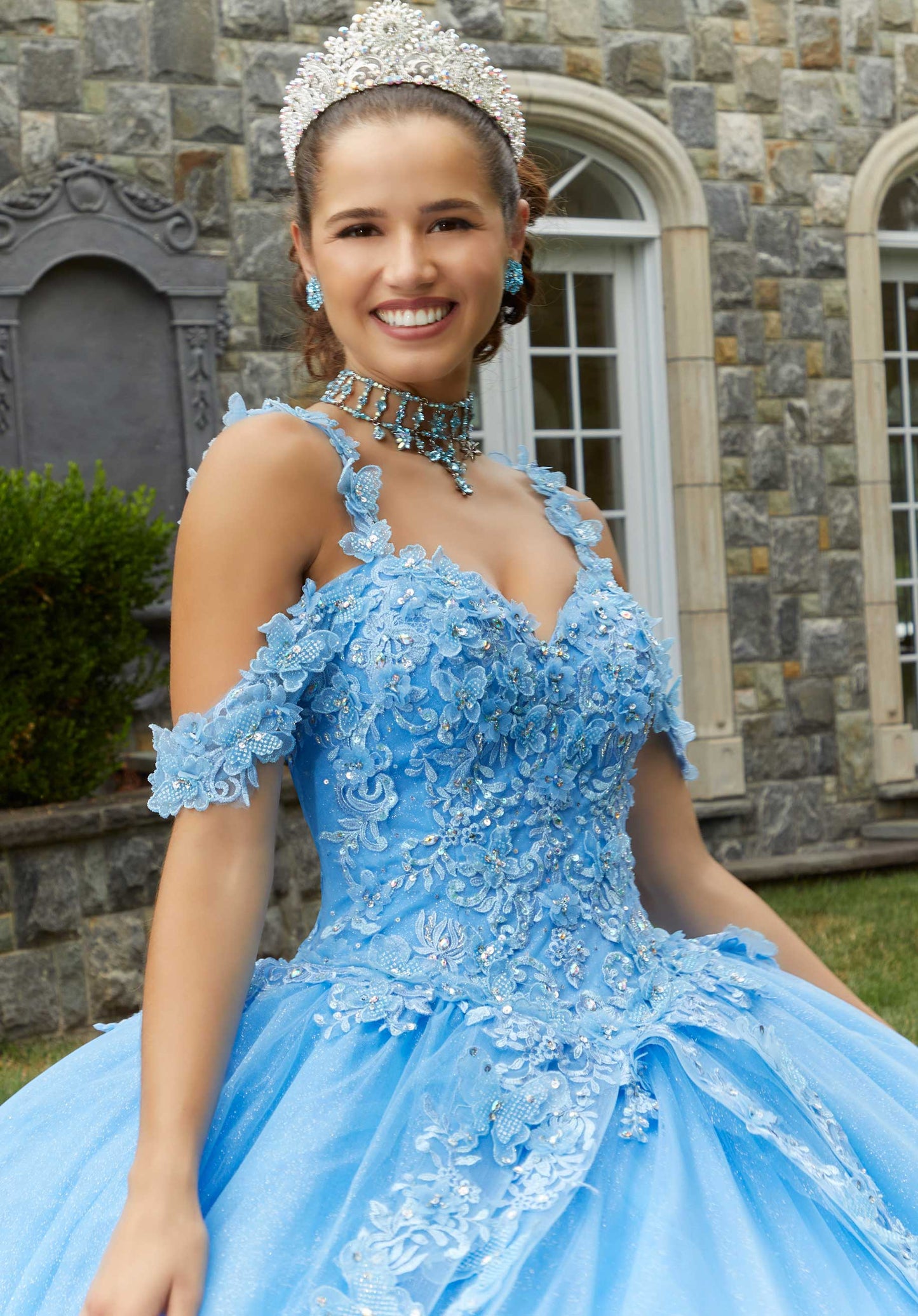 11289 | Metallic Embroidered Quinceañera Dress with Three-Dimensional Butterflies